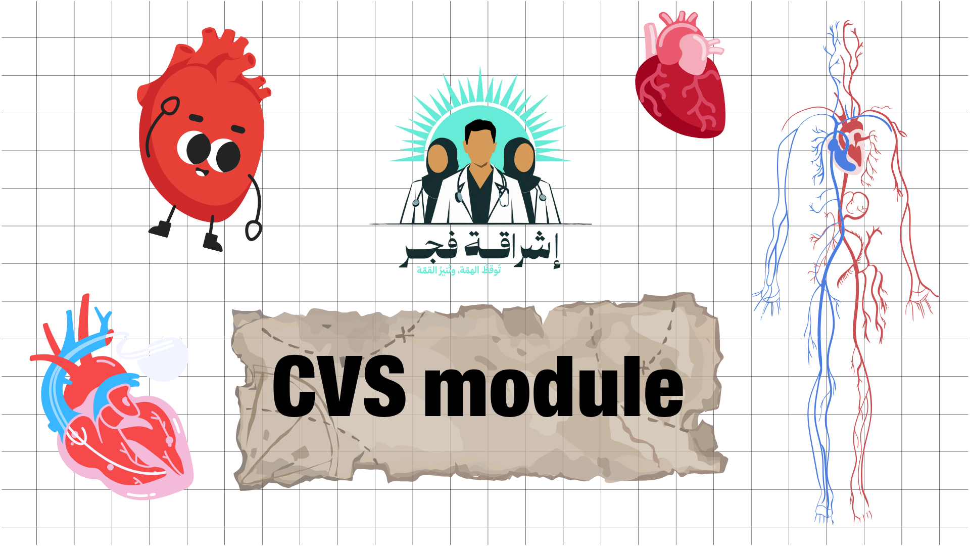 Cardiovascular (CVS) module