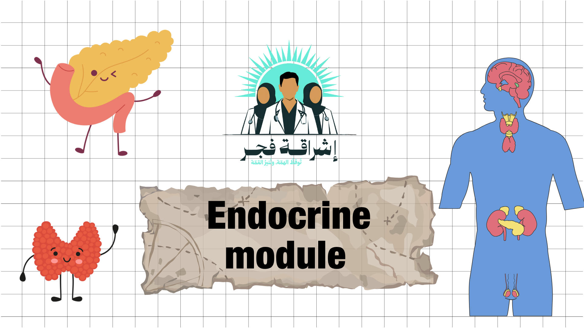 Endocrine system Module