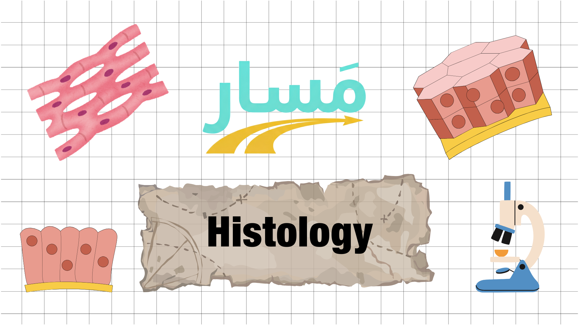 Principles of Histology