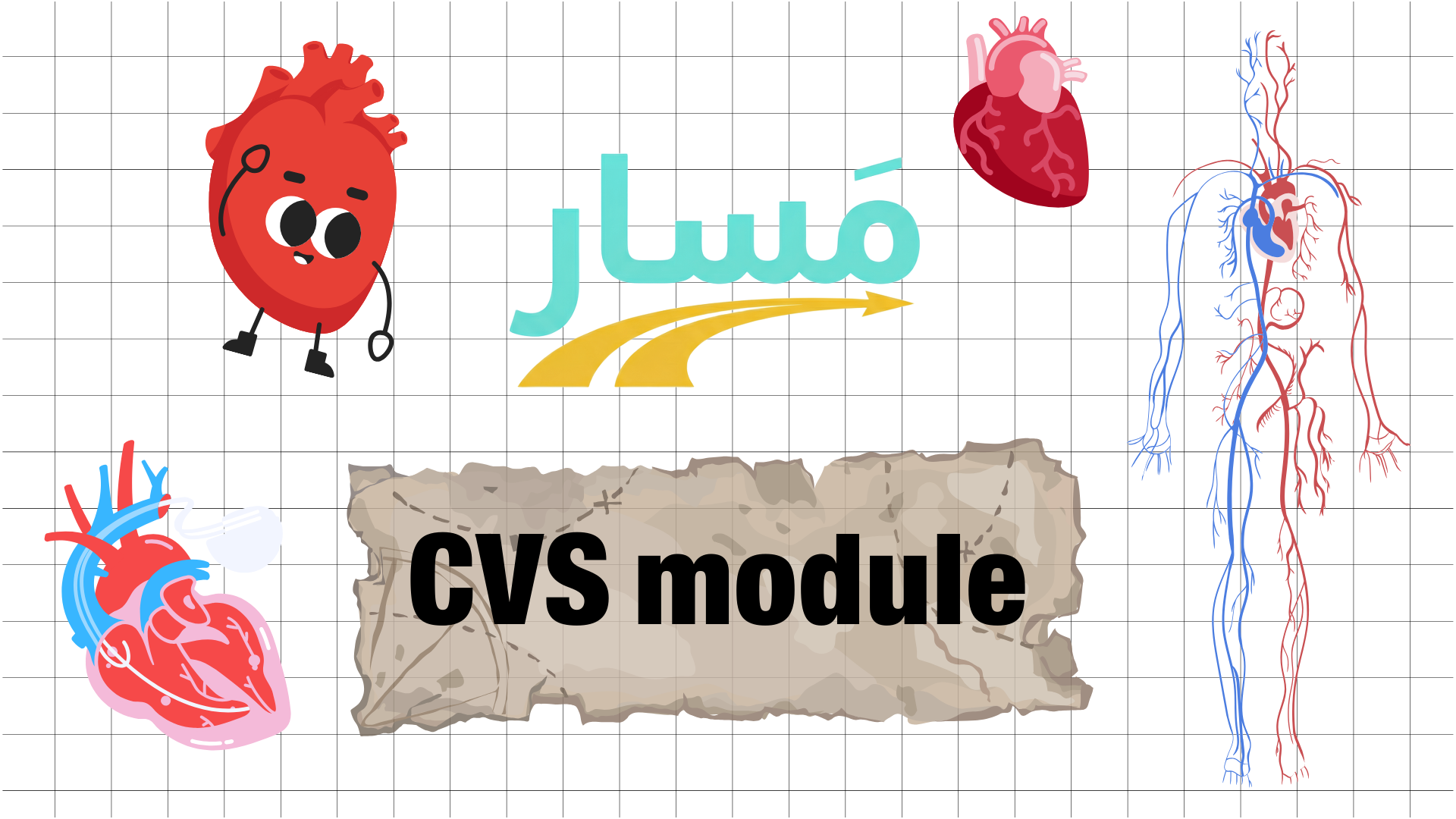 Cardiovascular (CVS) module