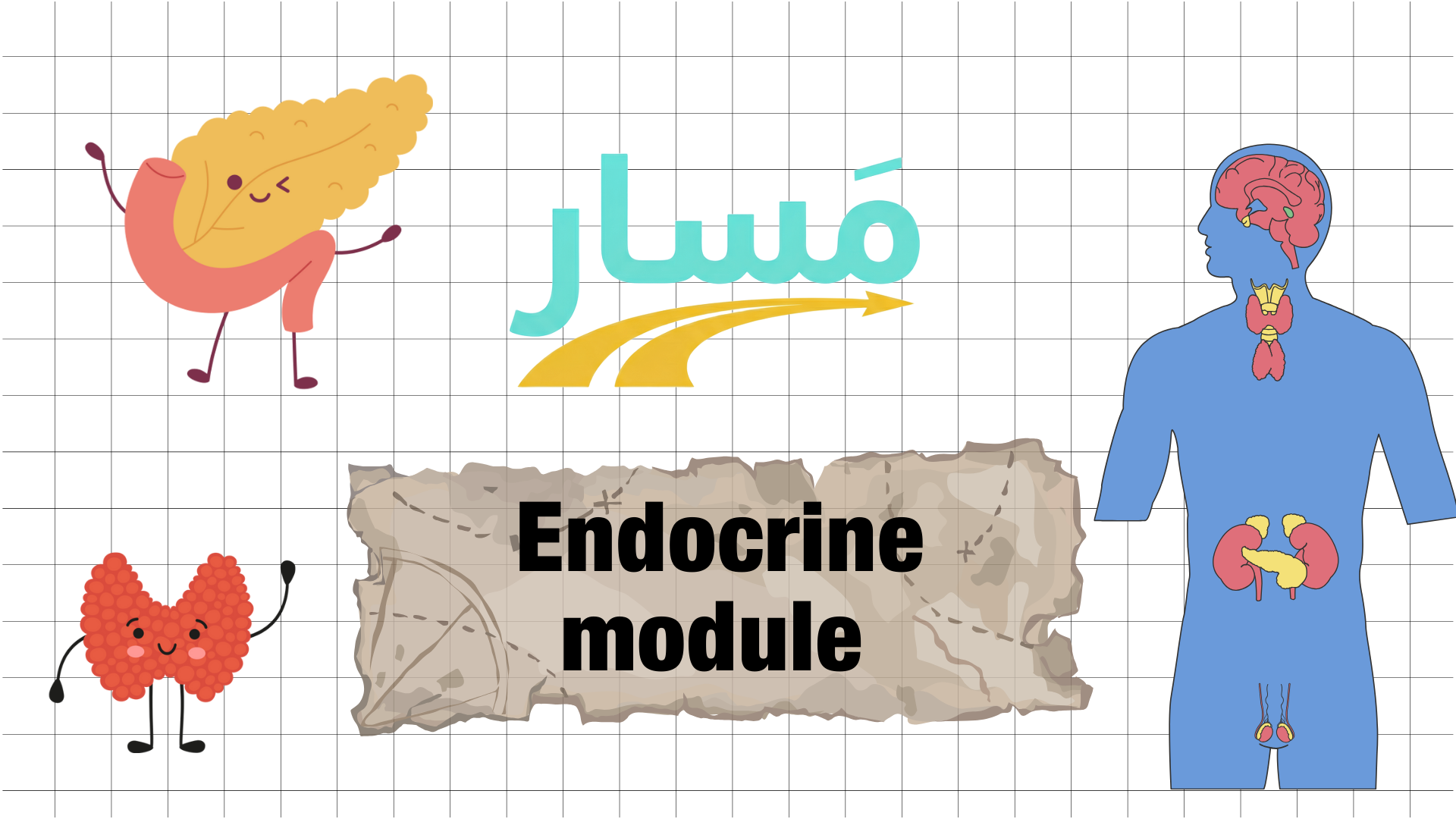 Endocrine system Module