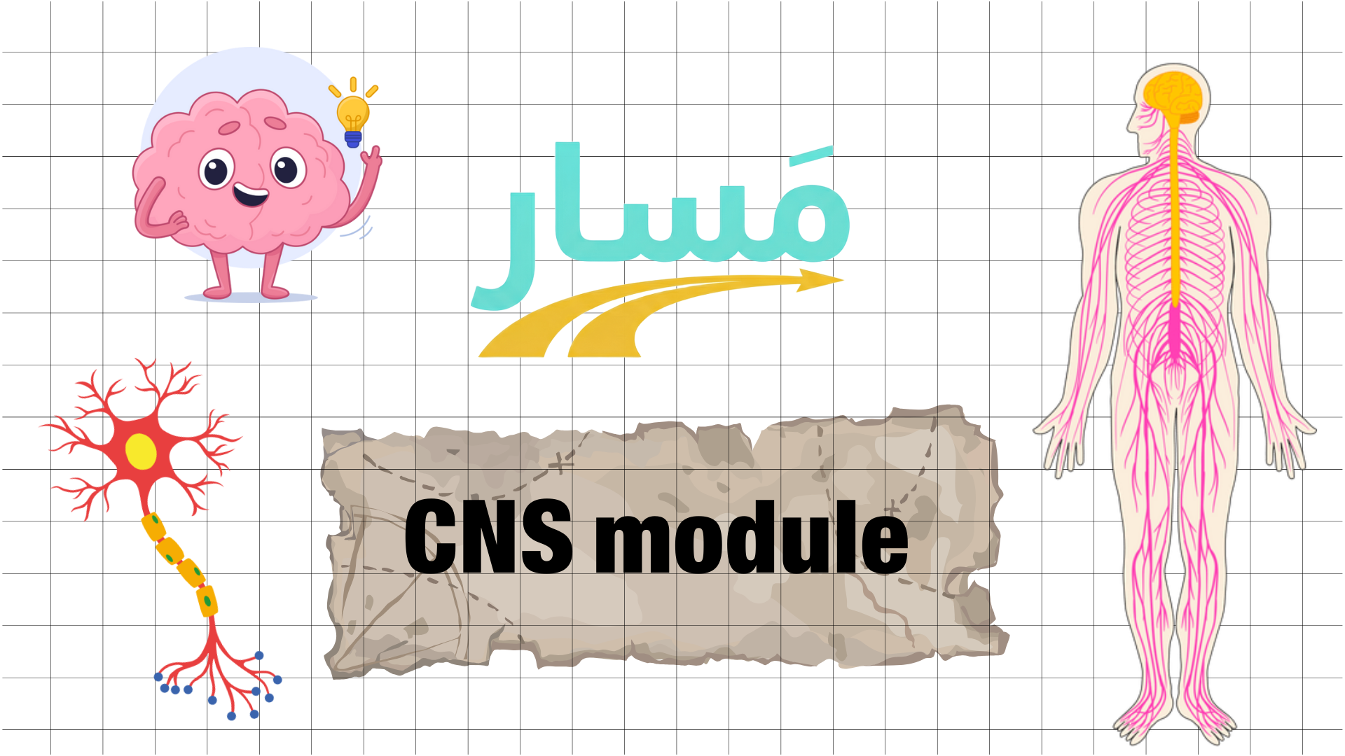Central nervous system (CNS) Module