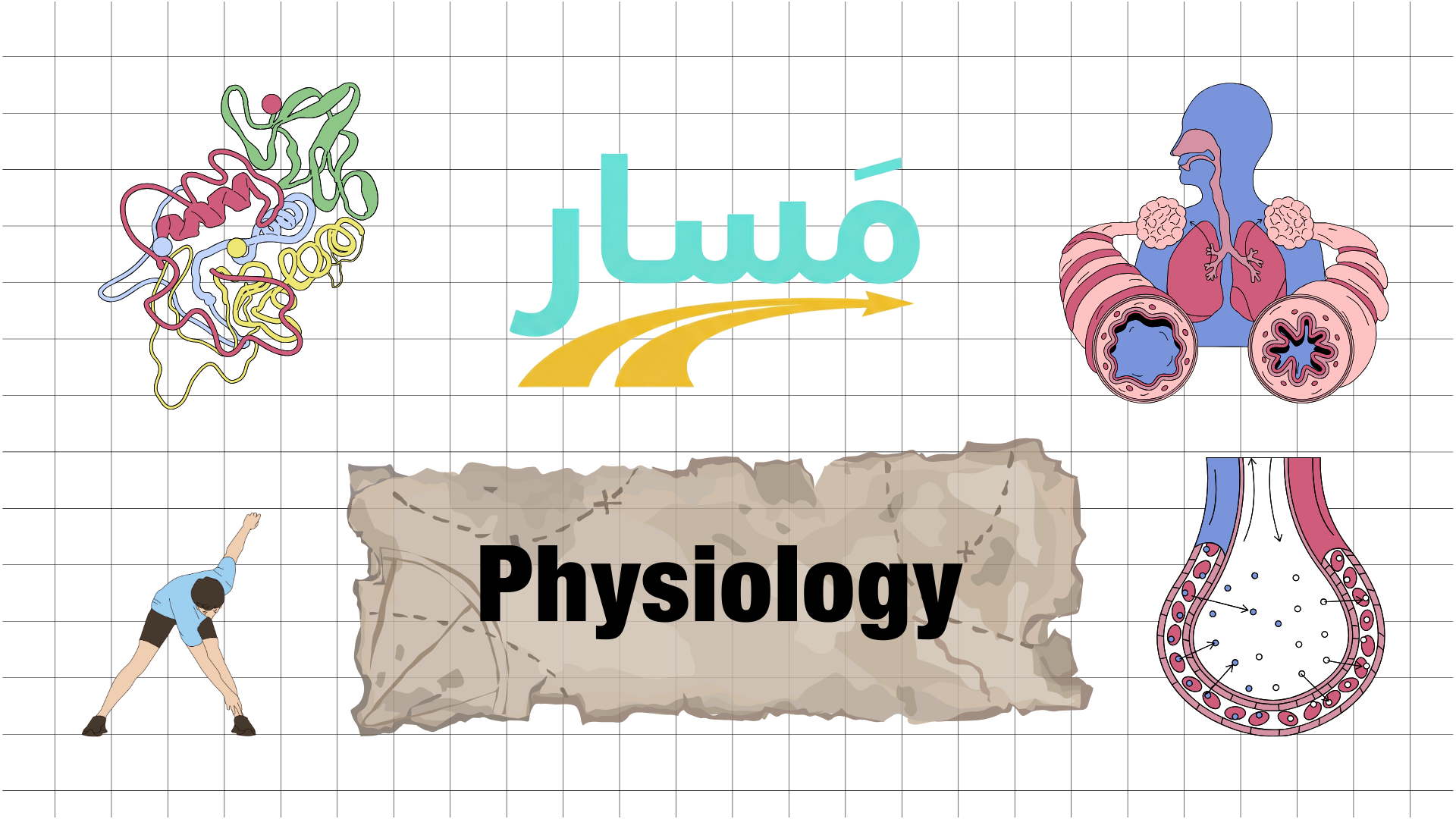 Principles of Physiology