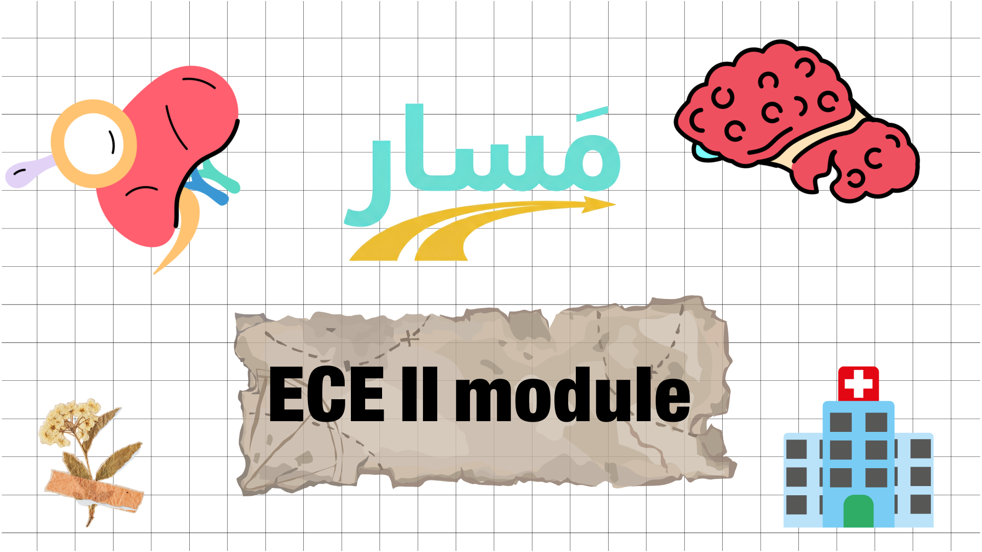 Early Clinical Experience II (ECE II)