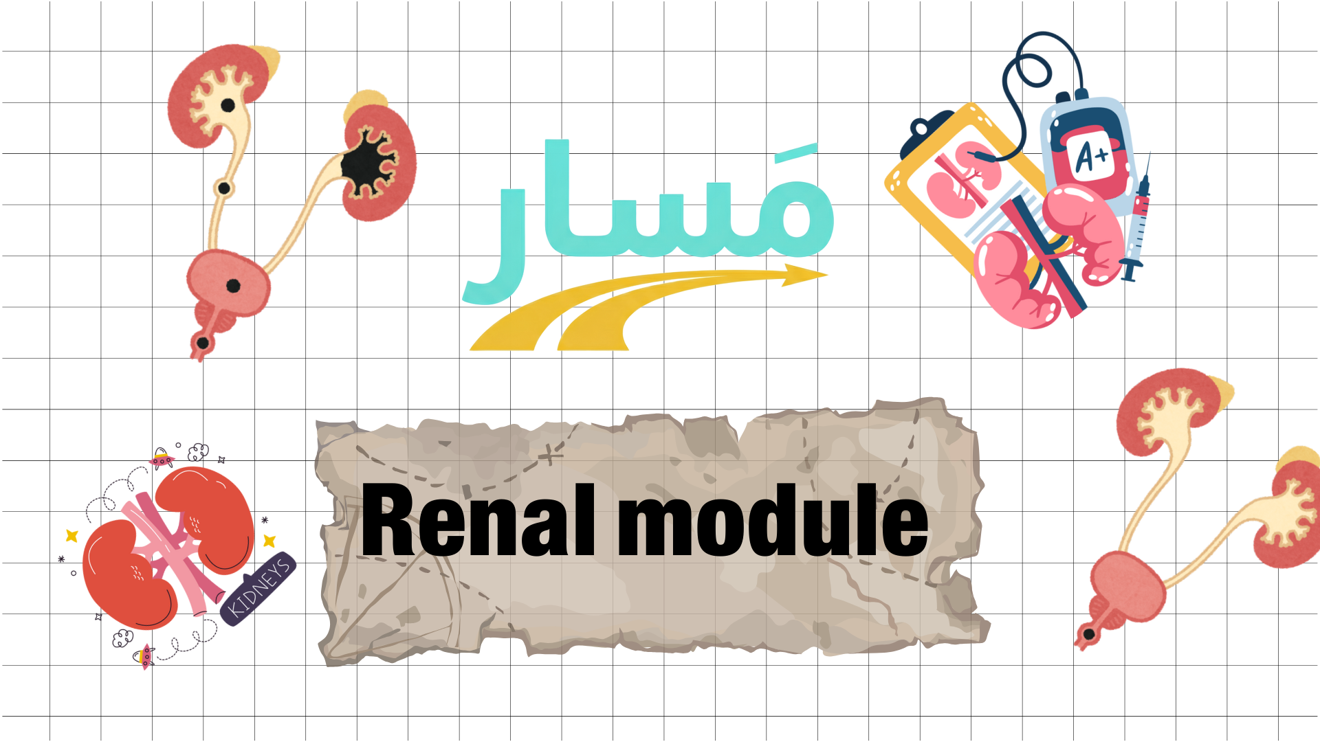 Renal System Module