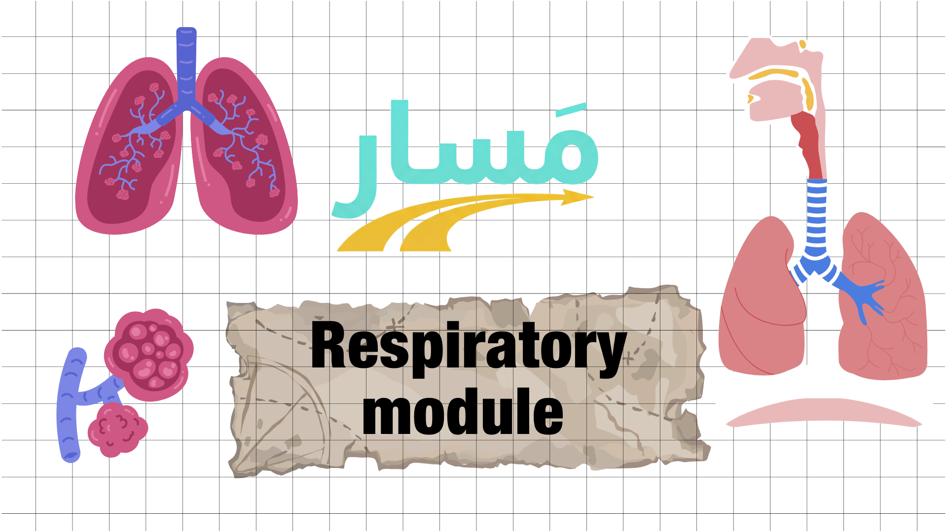 Respiratory module
