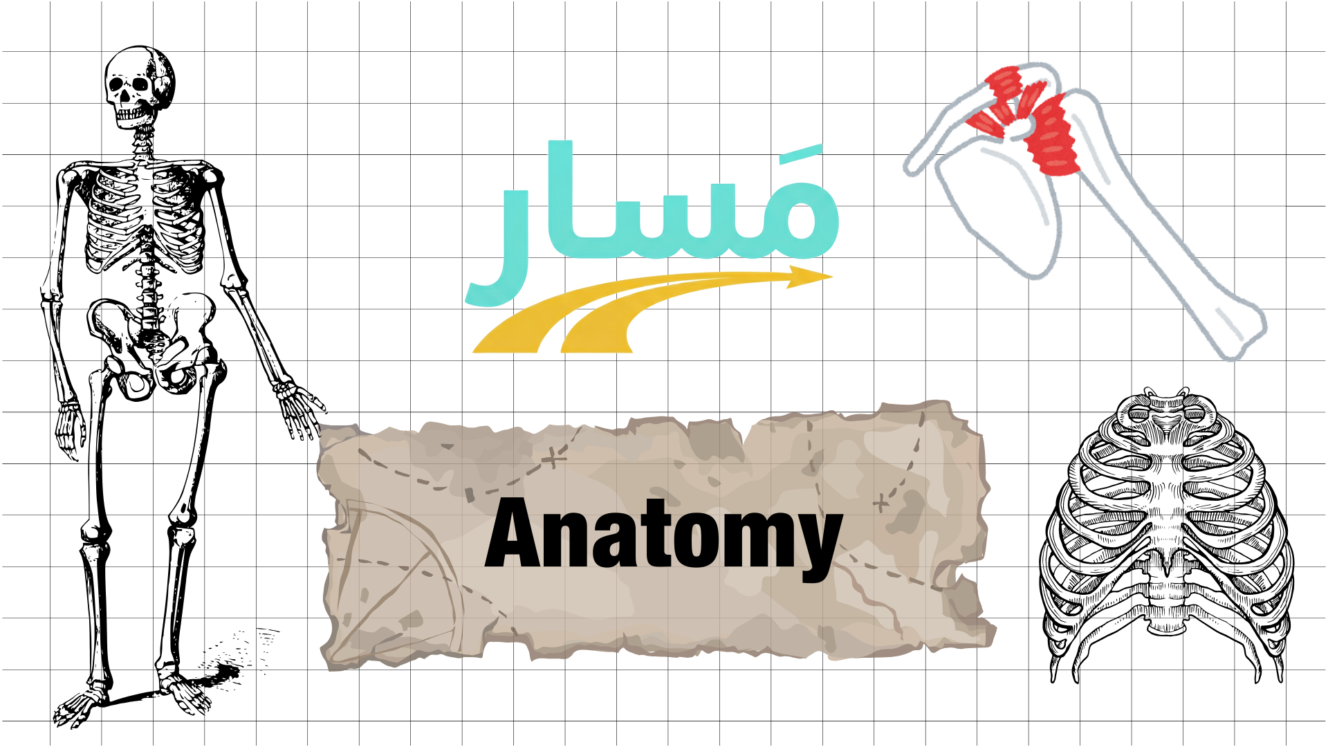 Principles of Anatomy