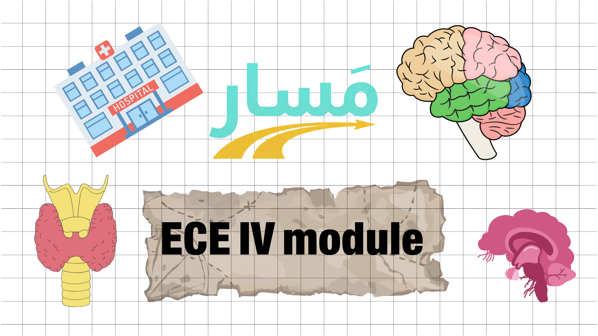 Early Clinical Experience IV (ECE IV)